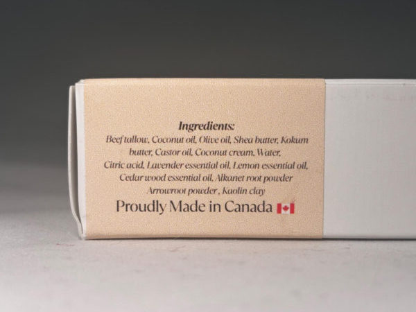 Bitmap-2-600x450 Bitmap-2-600x450